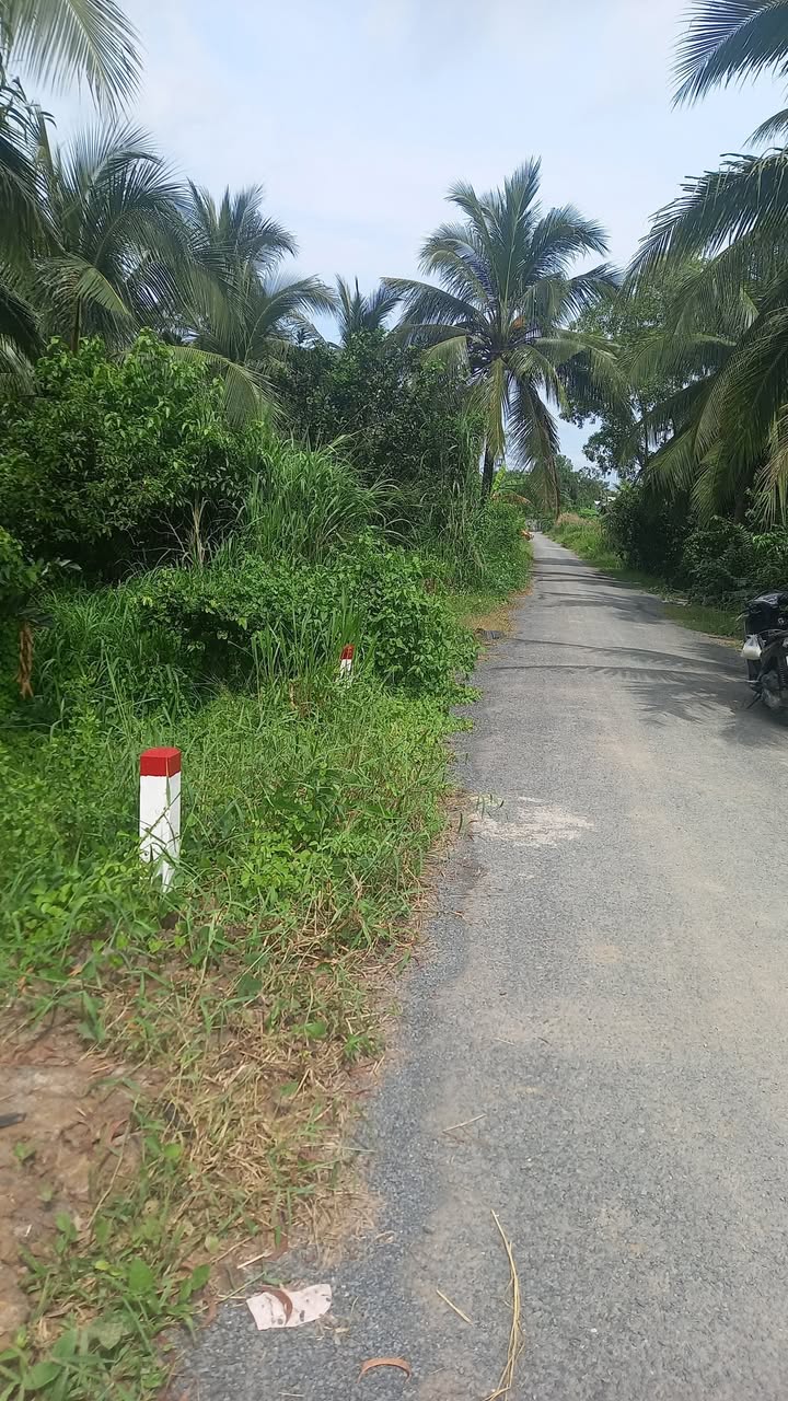 Đất nền mặt tiền nhựa Long Đức 500m² giá 500 triệu - Cơ hội đầu tư tuyệt vời!