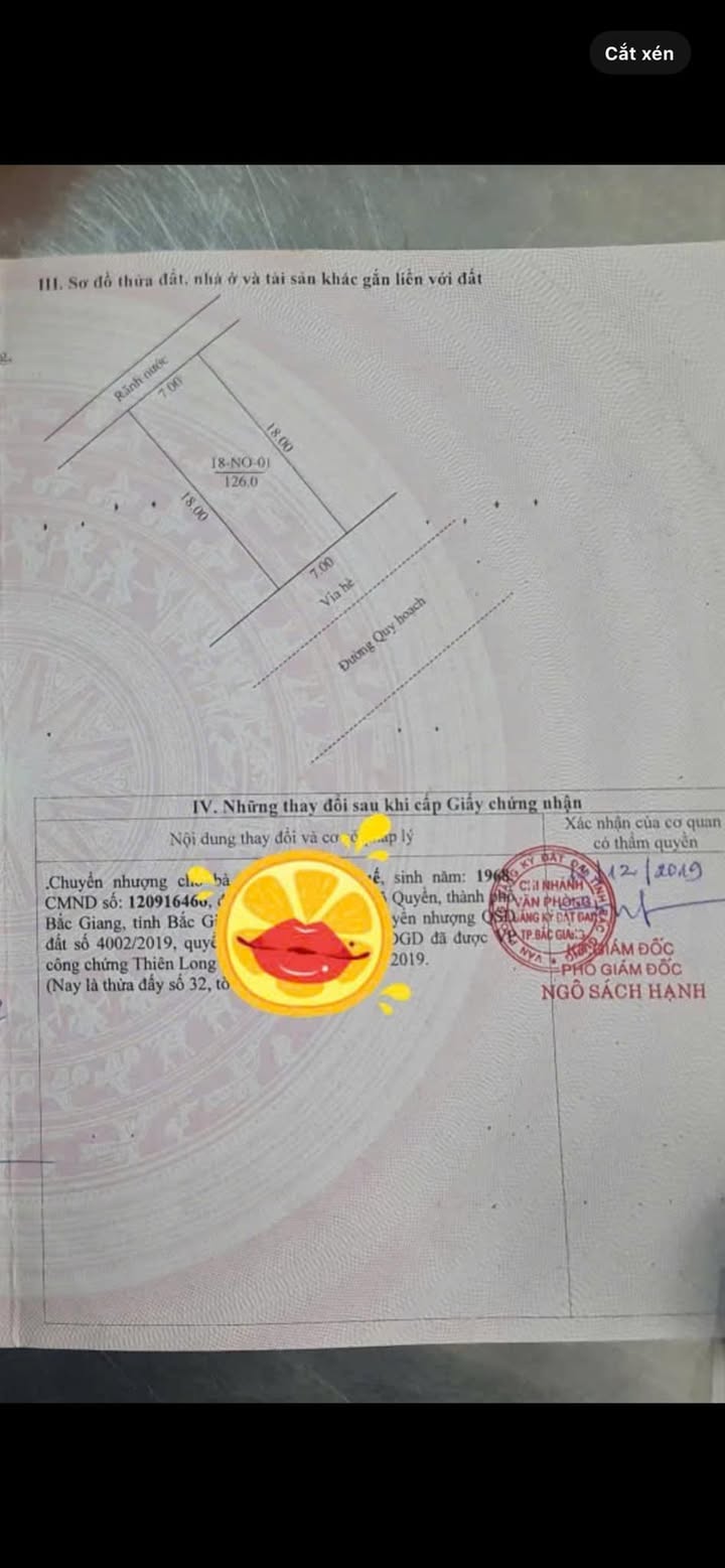 Đất nền Xương Giang Bắc Giang 120m² giá chỉ 6 tỷ - Cơ hội đầu tư không thể bỏ lỡ!