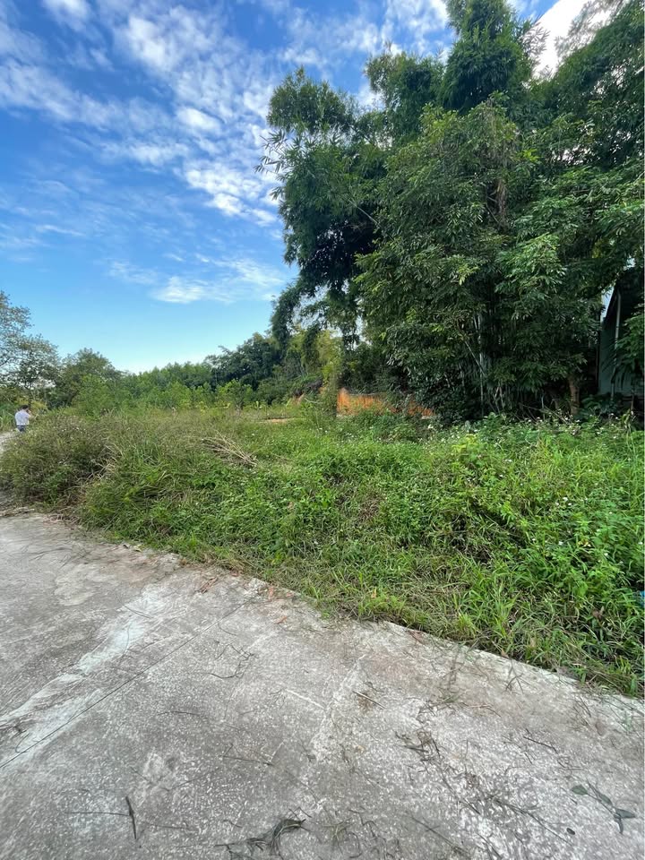 Đất thổ cư 93m² mặt tiền hơn 10m phường Thịnh Đán - Giá 800 triệu, bán gấp!