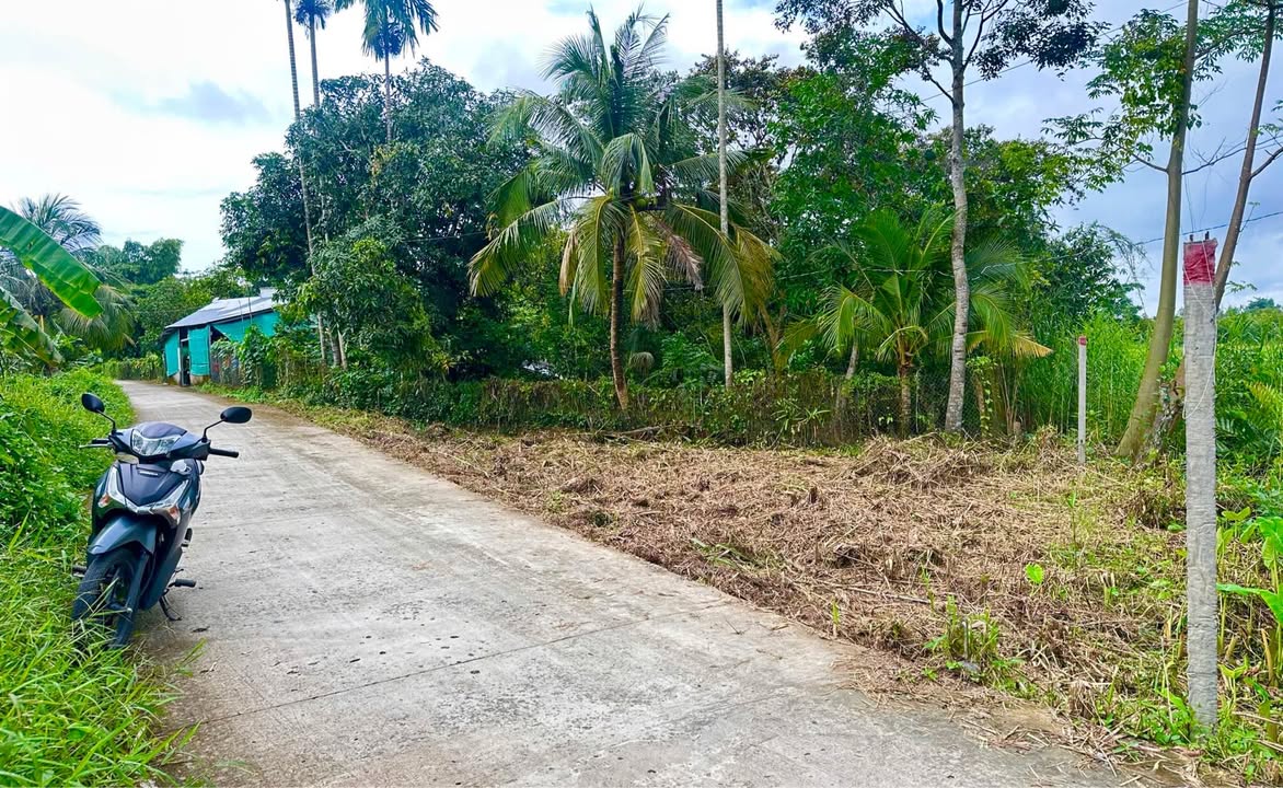 Đất nền đẹp đường Vườn Mận, Cần Thơ 57m² giá 1.15 tỷ - Sổ hồng chính chủ