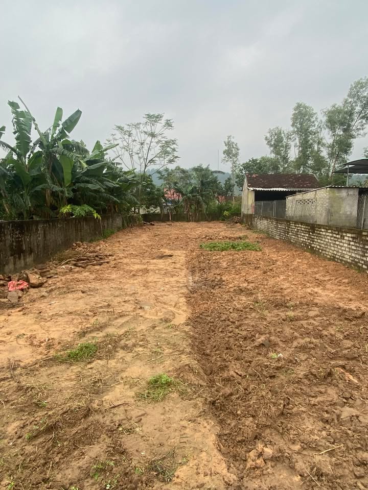 Đất nền Diễn Lợi, Diễn Châu 160m² giá 1 tỷ - Cơ hội đầu tư sinh lời!