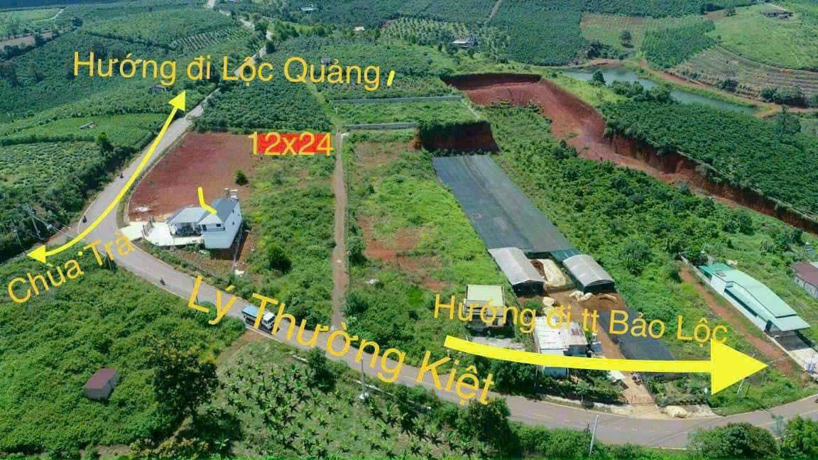 Đất thổ cư 288m² đường Lý Thường Kiệt, Bảo Lộc - Giá 2.45 tỷ, cơ hội đầu tư hấp dẫn!