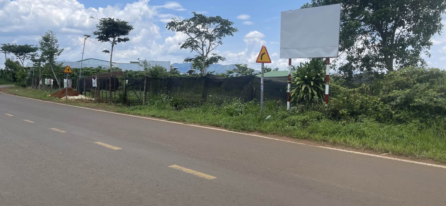 Đất mặt tiền đường Lý Thường Kiệt, Bảo Lộc 290m² giá 5.3 tỷ - Cơ hội đầu tư tuyệt vời!