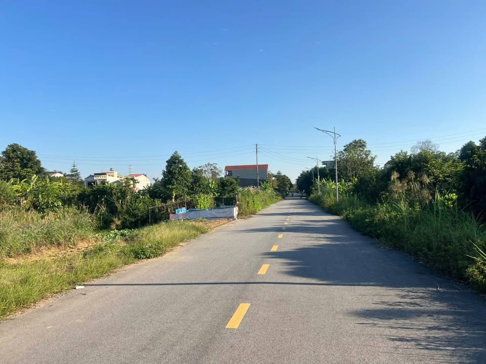 Đất nền Bạch Hạc, Việt Trì 90m² giá 2.1 tỷ - Cơ hội đầu tư tuyệt vời!