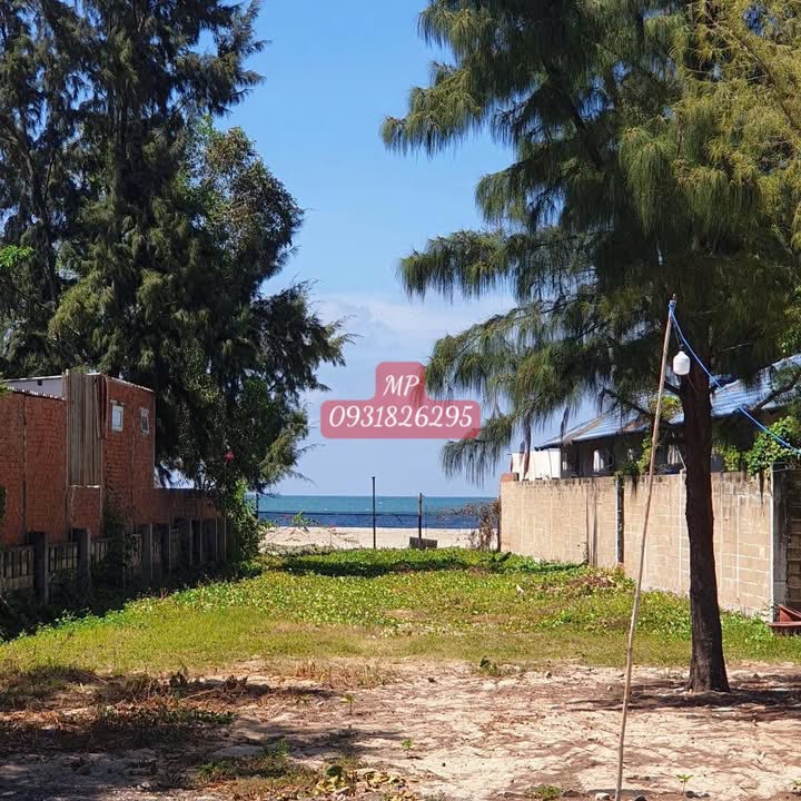 Đất nền 4.000m² mặt tiền đường Thanh Xuân - Giá chỉ 40 tỷ - Cơ hội đầu tư tuyệt vời!