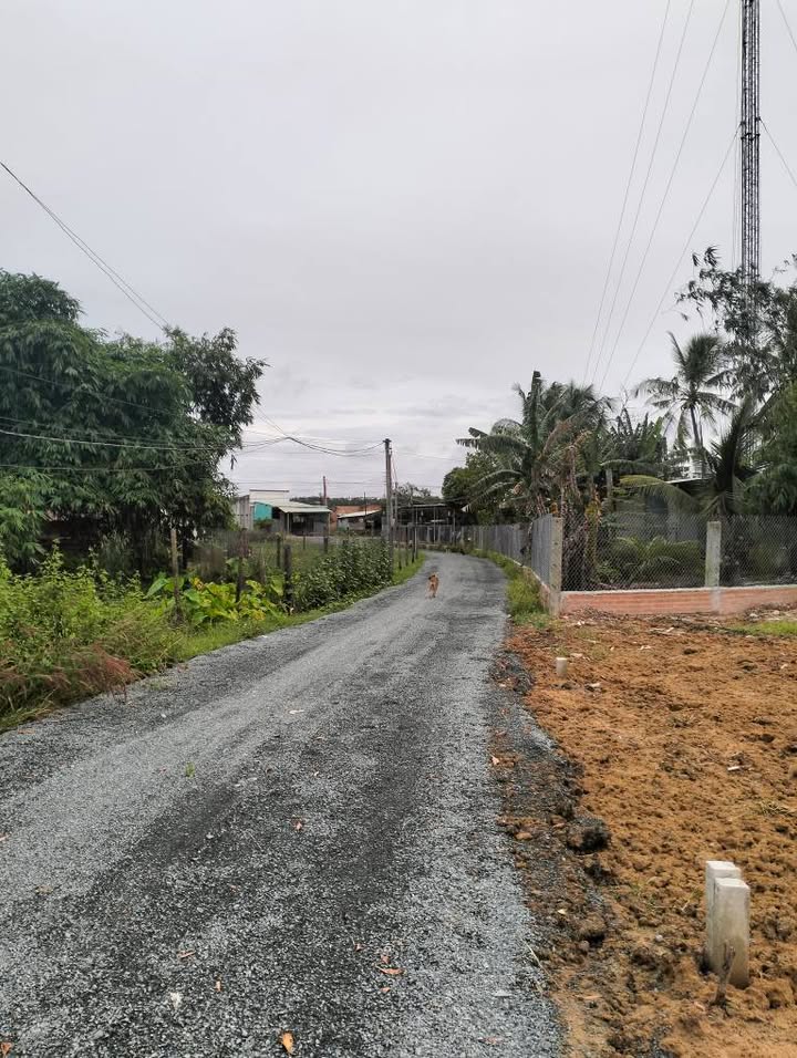 Đất nền Dương Minh Châu Tây Ninh 145m² giá chỉ 200 triệu - Pháp lý rõ ràng, gần chợ