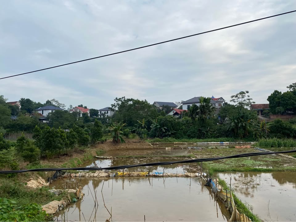 Đất thổ cư 373m² tại xã Hy Cương Mới giá 1.295 tỷ - Tiềm năng phát triển mạnh mẽ!