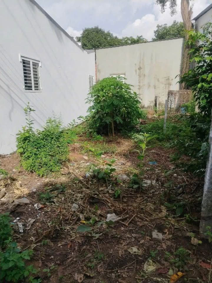 Đất nền Bình Khánh 76m² giá 800 triệu - Vị trí đắc địa gần chợ!