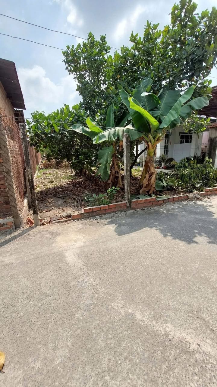 Đất thổ cư Trường Đông, Tây Ninh 371m² giá 805 triệu - Cơ hội đầu tư hấp dẫn!