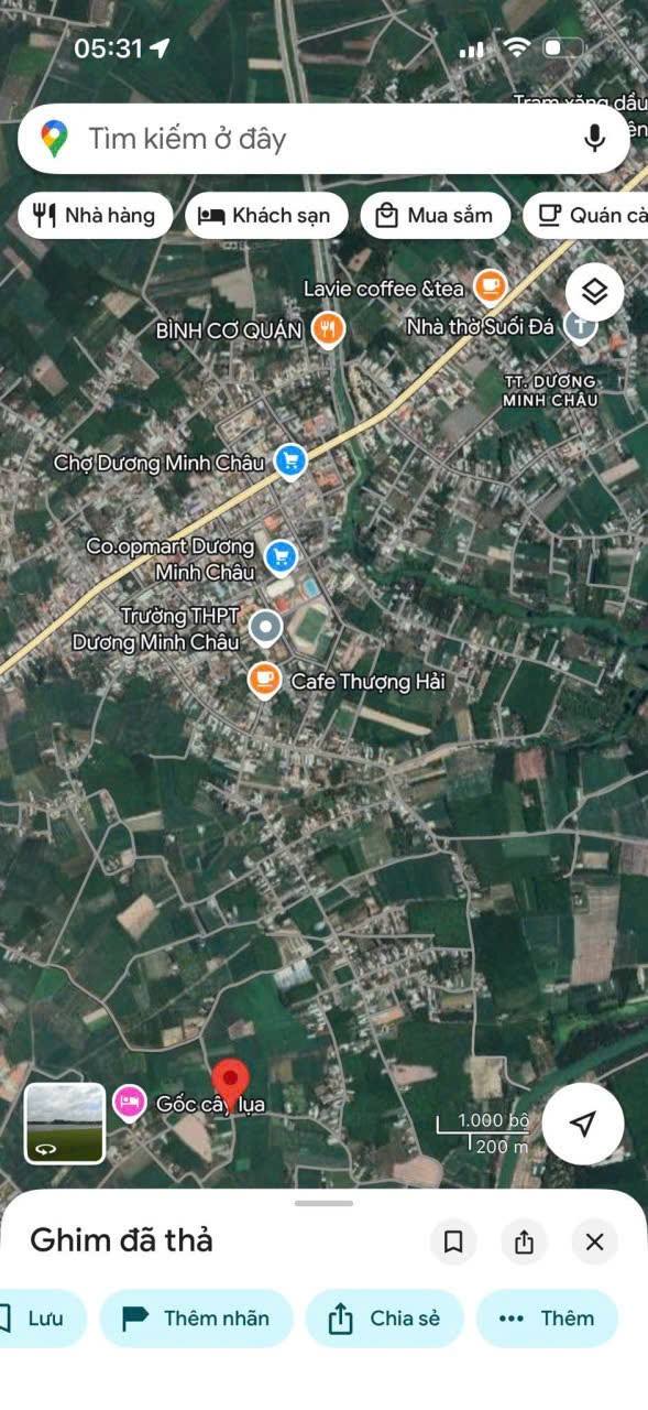 Đất thổ cư Tân Định Dương Minh Châu 160m² giá chỉ 359 triệu - Đầu tư sinh lời ngay!