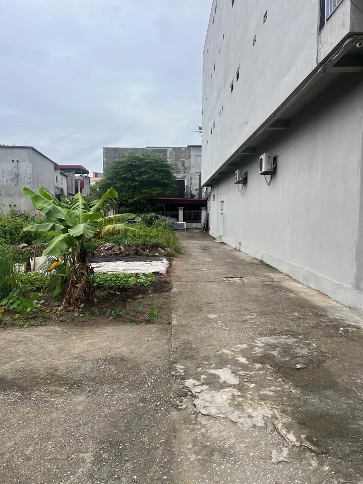 Đất nền Vân Dương, Bắc Ninh 200m² giá 3 tỷ - Đường ô tô rộng rãi, gần khu dân cư!