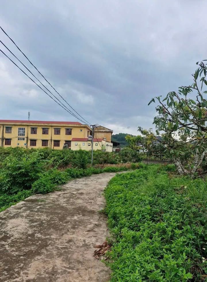 Đất vườn Đồng Cốc Lục Ngạn 2200m² giá 1.15 tỷ - Đầu tư sinh lời ngay!