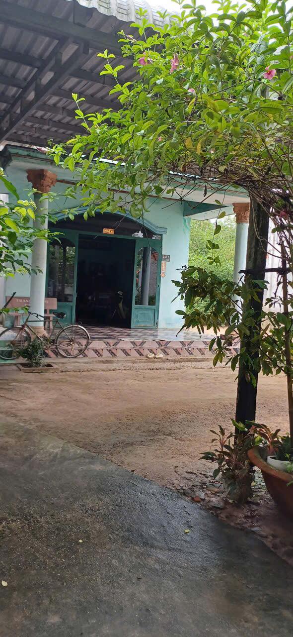 Đất Phước Hiệp 1440m² giá 2.59 tỷ - Tặng nhà cấp 4 cực hấp dẫn!