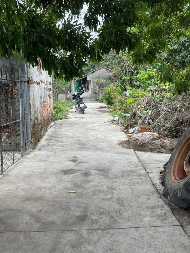 Đất thổ cư Thôn Quốc Tuấn, Xã Lê Hồng, 124m² giá 900 triệu - Đường ô tô tới nơi!