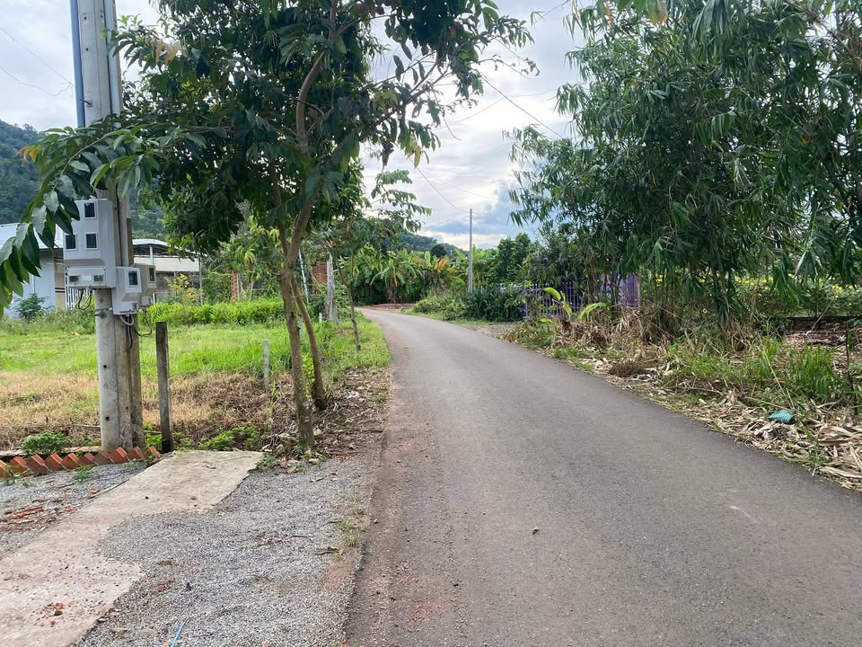 Đất thổ cư Xuân Trường 165m² giá chỉ 600 triệu - Vị trí đẹp gần núi Chứa Chang