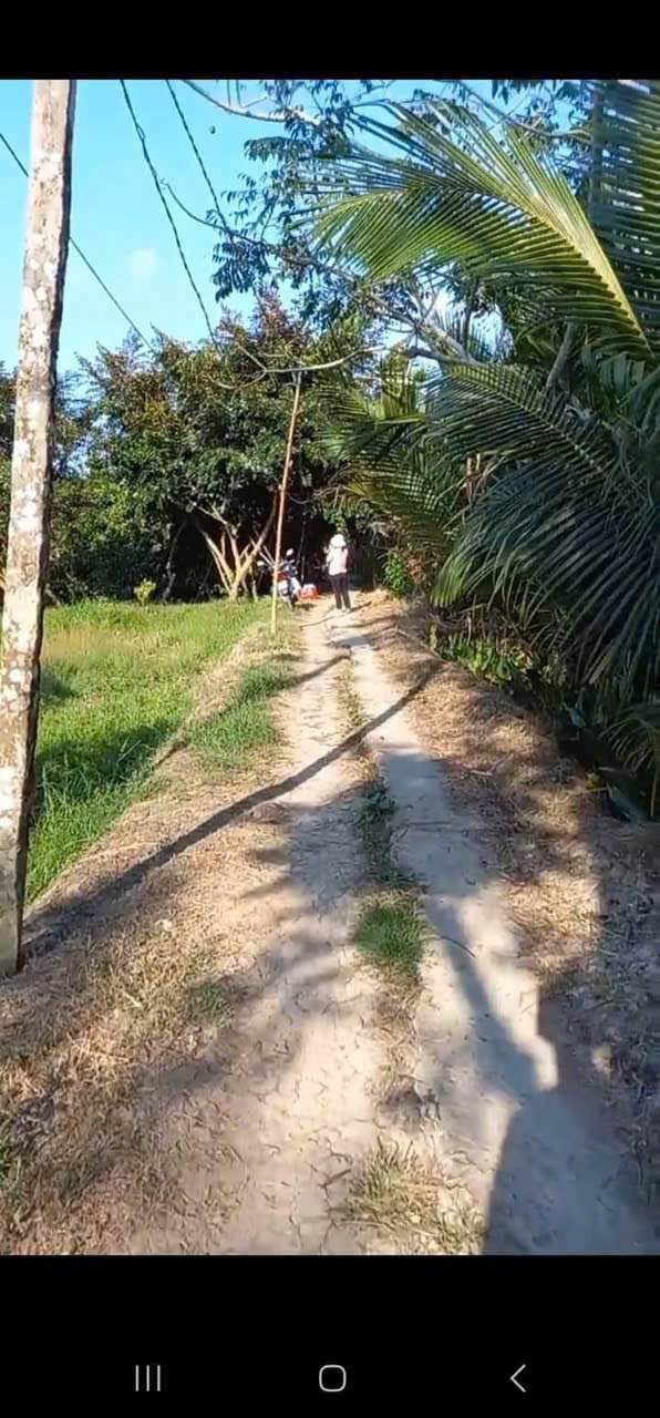 Đất vườn 2.635m² tại Mỹ Khánh, Phong Điền - Giá chỉ 2.6 tỷ, cơ hội đầu tư hiếm có!