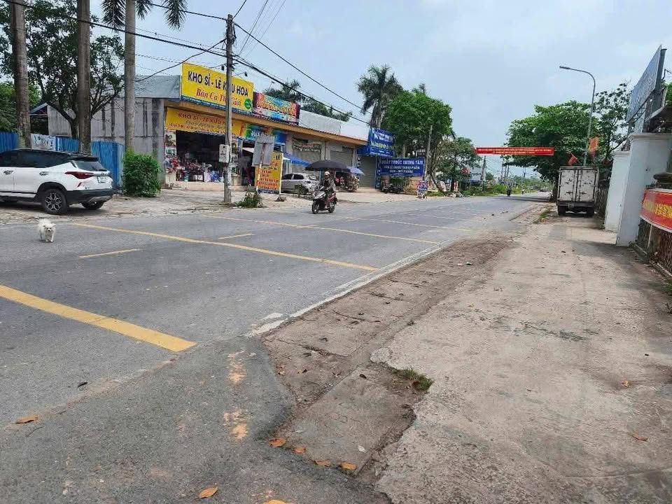 Đất sản xuất kinh doanh 1,1ha tại Vĩnh Phúc - Mặt tiền siêu đẹp chỉ 40 tỷ!