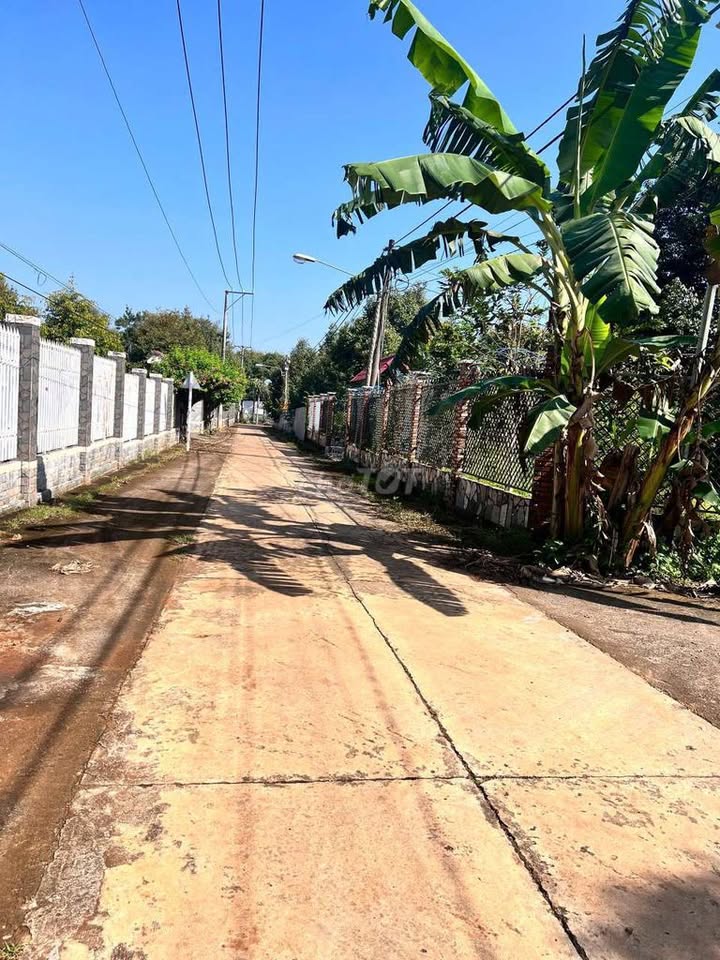 Lô đất Bình Lộc, Long Khánh 145m² giá chỉ 80 triệu - Cơ hội đầu tư tuyệt vời!