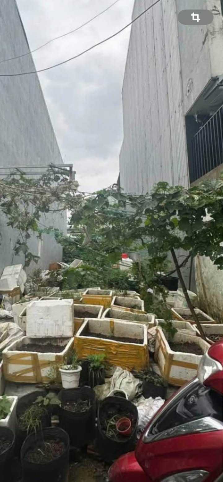 Đất nền kiệt 32 Nguyễn Như Hạnh, Đà Nẵng 80m² giá 2.88 tỷ - Cơ hội hiếm có!