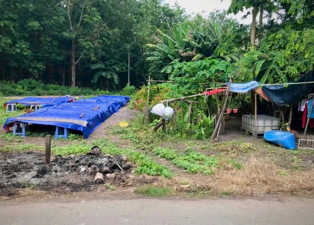 Đất thổ cư 2 mặt tiền Tân Thạnh Tây, Củ Chi 125m² giá 2.05 tỷ - Cơ hội đầu tư tuyệt vời!