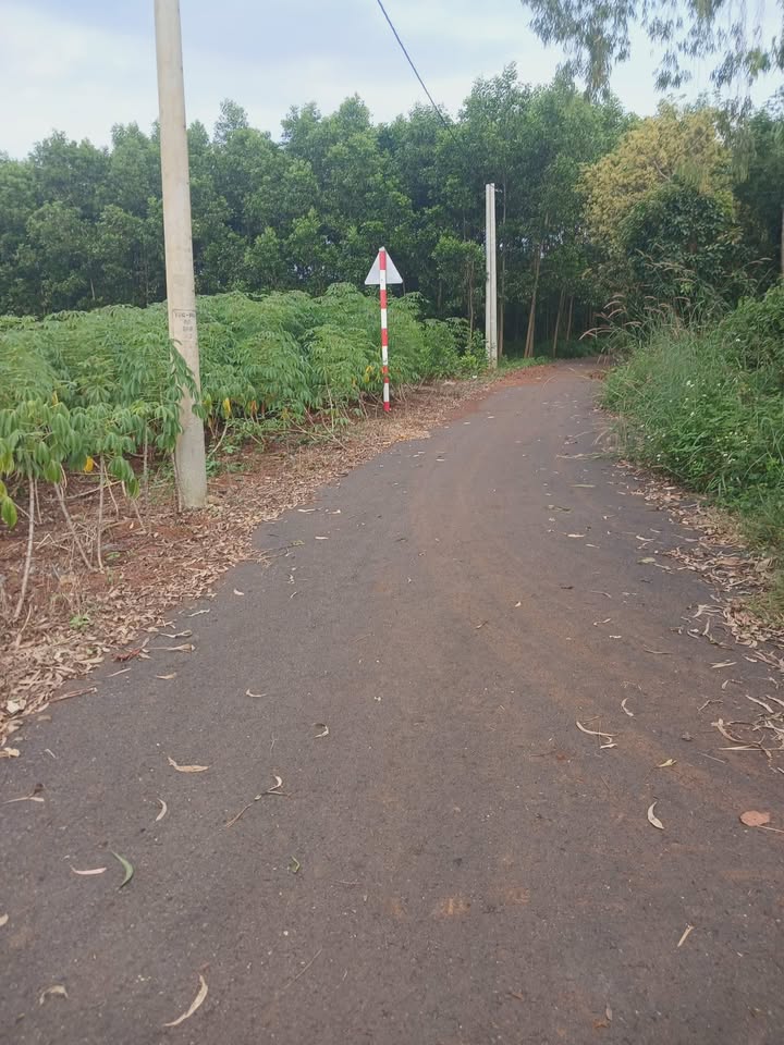 Đất vườn 5 sào tại Bình Trung, Châu Đức chỉ 1.75 tỷ - Cơ hội đầu tư tuyệt vời!