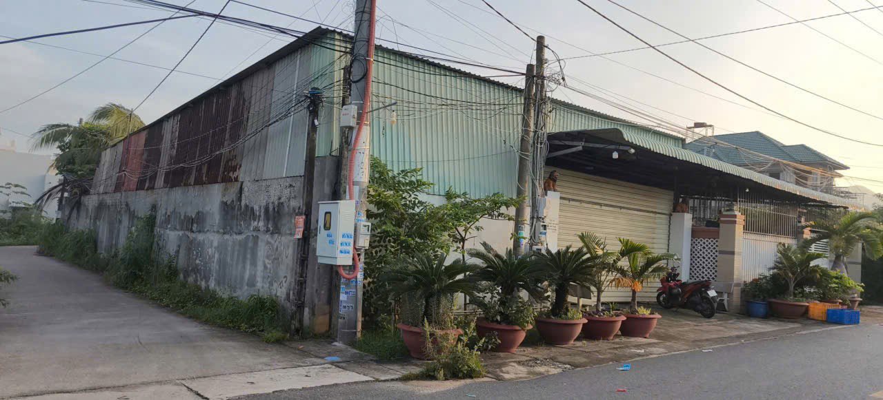 Nhà hai mặt tiền đường Nguyễn Tất Thành, Long Hải 882m² giá 6.5 tỷ - Hướng Nam mát mẻ quanh năm!