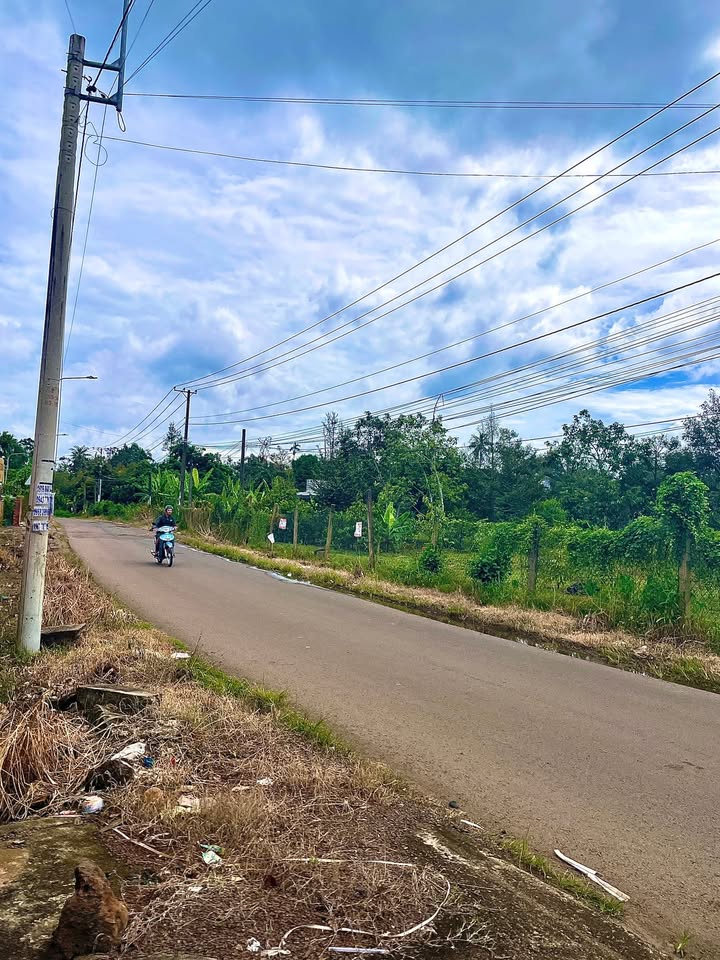 Đất thổ cư ngay Ủy ban phường Bình Lộc, 300m² giá 870 triệu - Cơ hội đầu tư tốt!