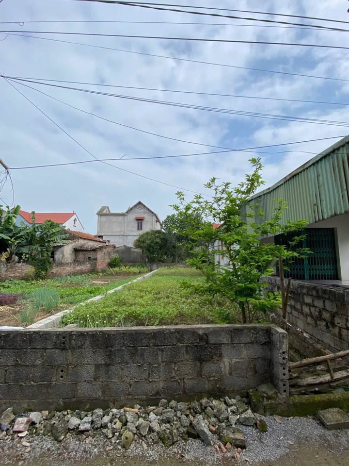 Đất thổ cư thôn Tầm Thượng, Phú Xuyên 101m² - Giá chỉ 2.1 tỷ, thương lượng tốt!