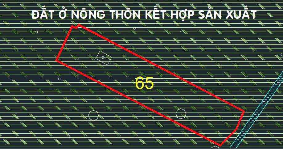 Đất Mặt Tiền Bờ Suối Nguyễn Thị Rành 2743m² Giá 4.2 Tỷ - Đầu Tư Lợi Nhuận Cao!