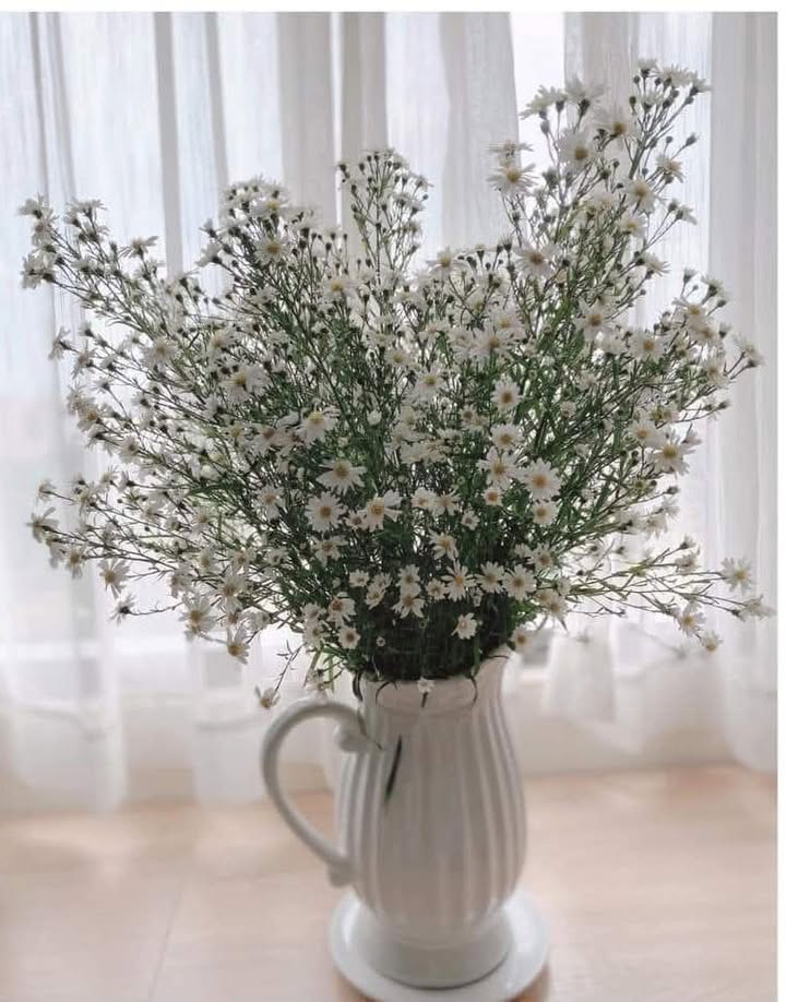 Bán đất mặt tiền đường Thanh Niên, Thanh Oai, 227.5m² - Đầu tư lâu dài sinh lời!