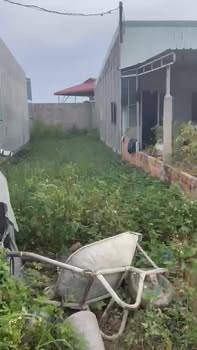 Đất trồng cây lâu năm tại xã Phong Nẫm, Phan Thiết 95m² - Chính chủ, giá thỏa thuận!