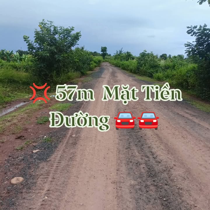 Đất nền 1,7ha xã Ea Wer, Buôn Đôn giá 1.275 tỷ - Cơ hội đầu tư sinh lời!