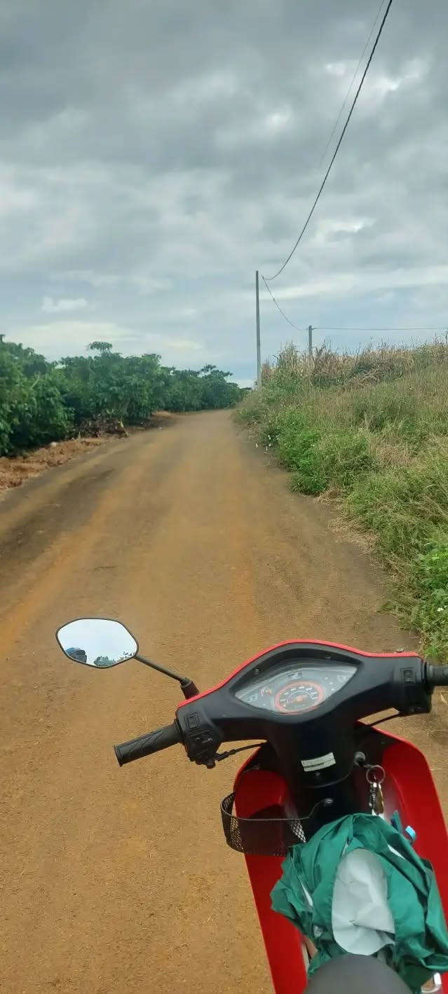 Đất nền 300m² đường Trần Quang Khải, Bảo Lộc - Giá chỉ 1.05 tỷ, bớt lộc!