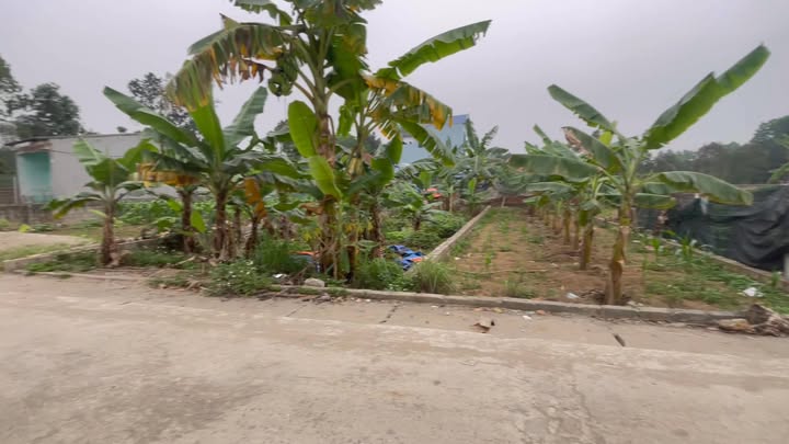 Đất thổ cư Thôn 8, Tân Xã 134.5m² giá 5 tỷ - Mặt tiền rộng, vị trí đắc địa!