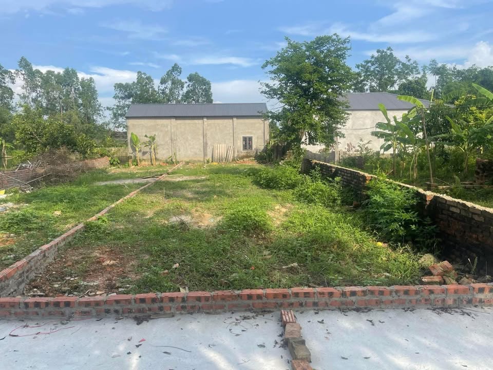 Đất nền Thường Thắng Hiệp Hòa 131m² giá đầu tư - Tiềm năng sinh lời cao!