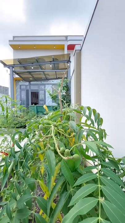 Nhà riêng Ấp Giồng Lớn 160m² giá 2.35 tỷ - Chính chủ, pháp lý rõ ràng!