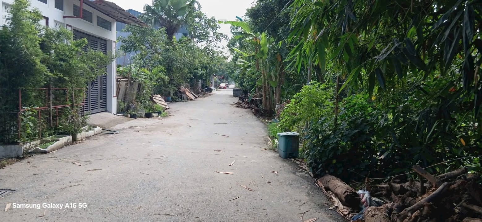 Đất nền Định Trung Vĩnh Yên 100m² giá 2.4 tỷ - Vị trí đắc địa gần sân vận động!