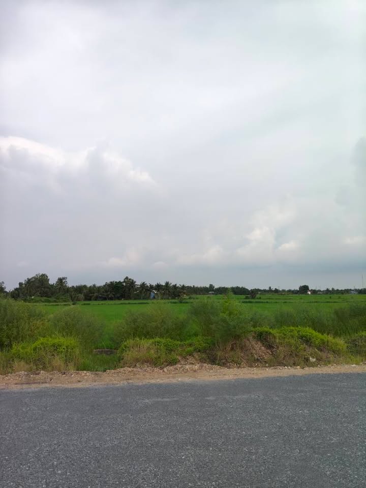 Đất vườn giá rẻ mặt tiền đường Vành Đai 3, Long An - 3.597m² chỉ 2,5 tỷ!