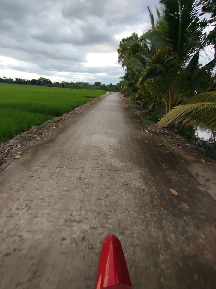 Đất lúa mặt tiền chợ Đường Thét - 70.000m² giá 200 triệu - Cơ hội đầu tư tuyệt vời!