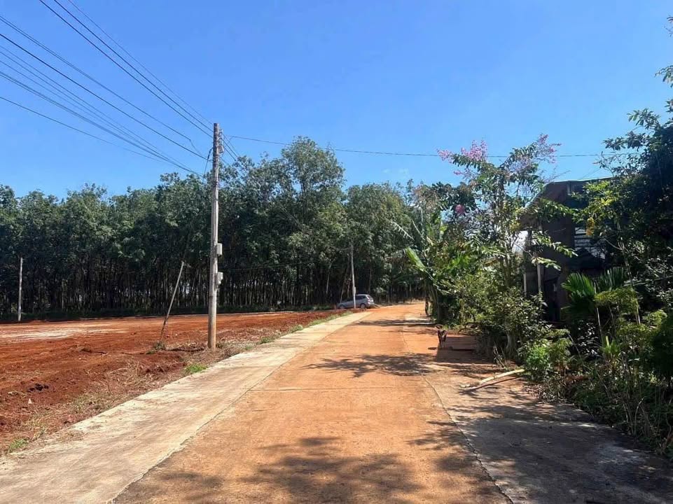 Đất thổ cư 364,5m² Bù Nho giá 390 triệu - Vị trí đắc địa gần KCN Long Hà!