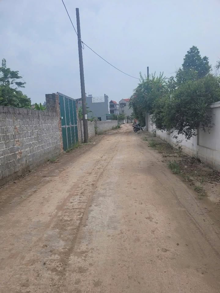 Đất nền Tự Nhiên 80m² giá 3 tỷ - Vị trí đắc địa, giao thông thuận lợi!