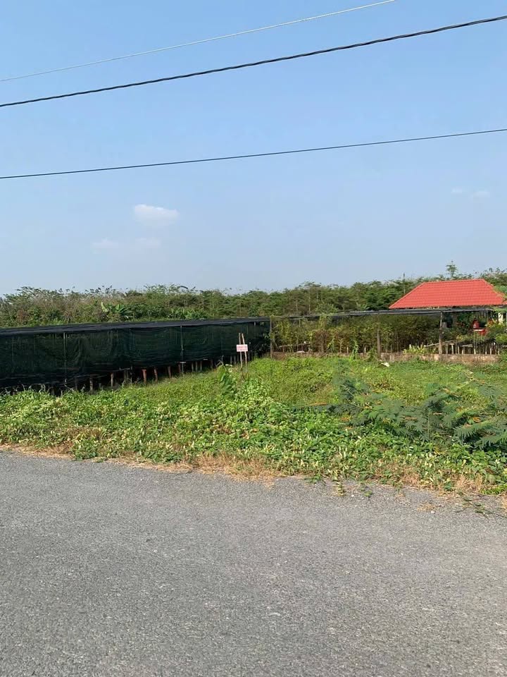 Đất nền mặt tiền đường Tân Quy Đông, Sa Đéc 348,6m² - Tiềm năng sinh lời cao!