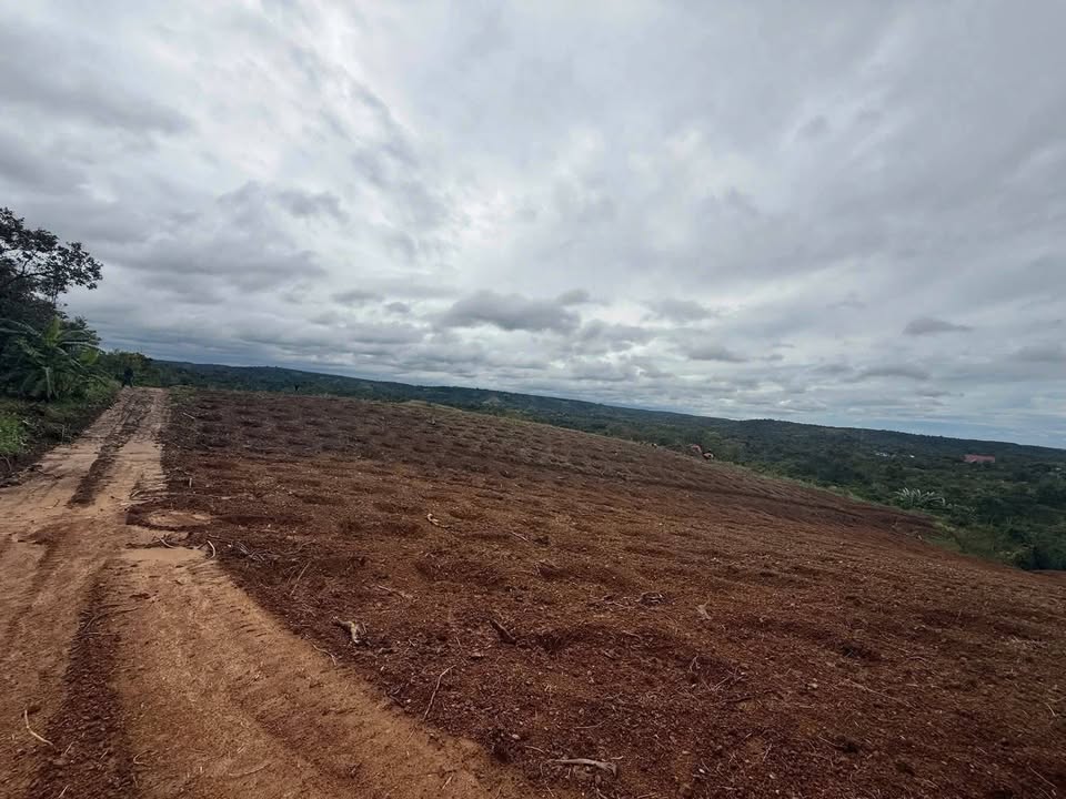 Đất nền 20,000m² tại xã Ea Sin, Krông Búk giá 2.2 tỷ - Thế đất đẹp, hồ nước tưới