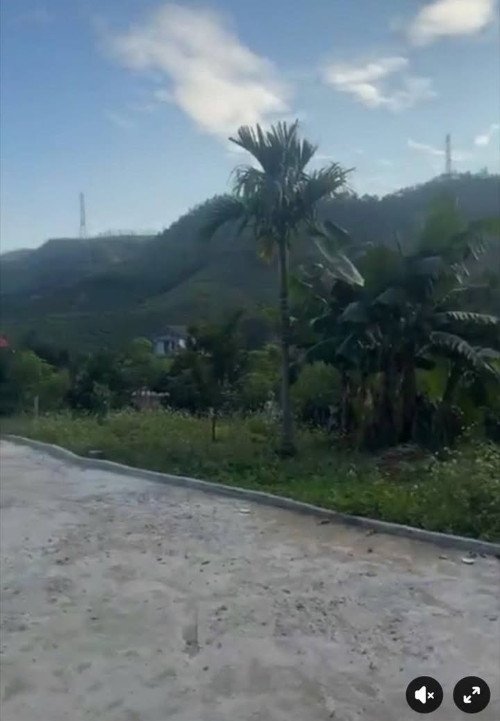 Đất nền 5000m² Quốc lộ 6, Ba Vì chỉ 1.65 tỷ - Đầu tư sinh lời ngay!