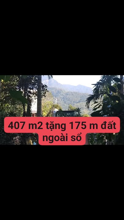 Đất nền thôn Cốc Đồng Tâm, xã Minh Quang, 407m² chỉ 1 tỷ - Sổ đỏ chính chủ!