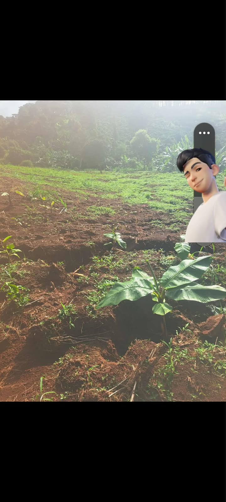 Đất nền Quảng Tâm Tuy Đức 3600m² giá 350 triệu - Cơ hội đầu tư tuyệt vời!