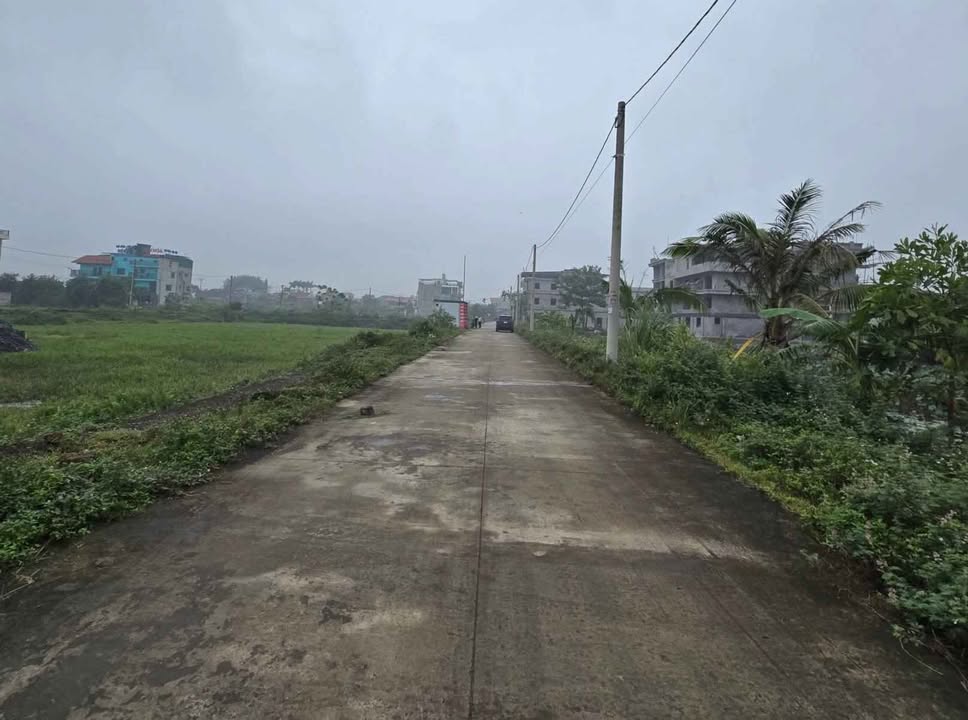 Đất nền nhà vườn Ninh Thắng - 308m² giá tốt - Đầu tư sinh lời ngay!