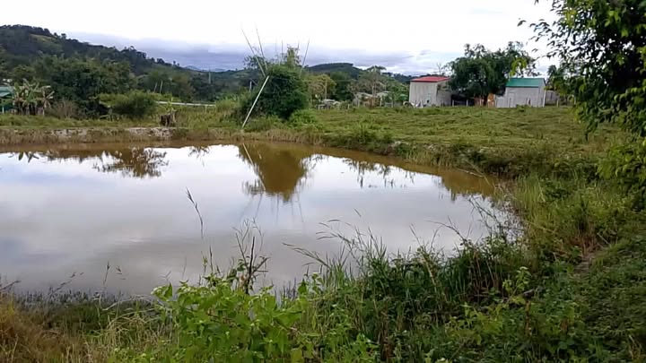 Đất nền Ia Khươl, Chư Păh, Gia Lai 3ha - Cơ hội đầu tư tuyệt vời!