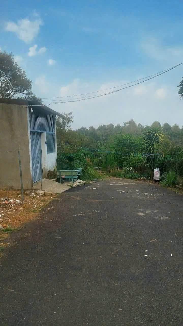 Đất thổ cư hẻm 37 Triệu Quang Phục B'Lao 150m² - Giá chỉ 1.25 tỷ, bớt lộc chính chủ!