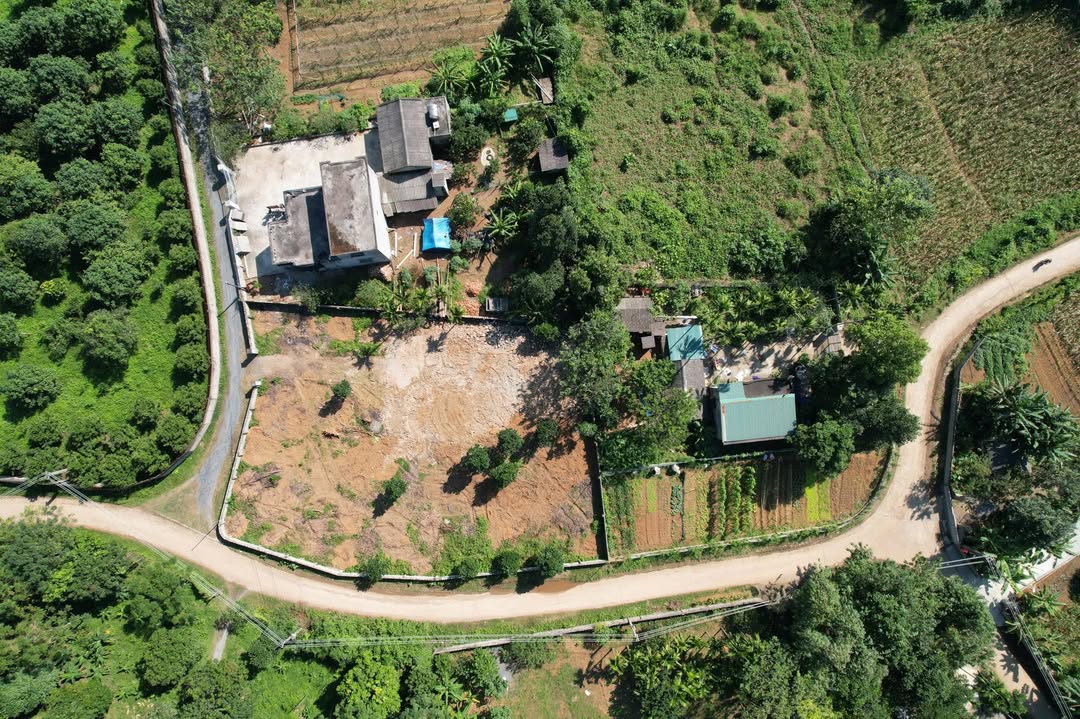 Đất nền Phú Thành 1.200m² giá 6 tỷ - Sổ hồng chính chủ sẵn sàng giao dịch!